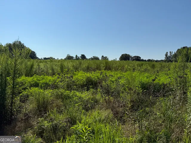 a view of a large yard with lots of bushes