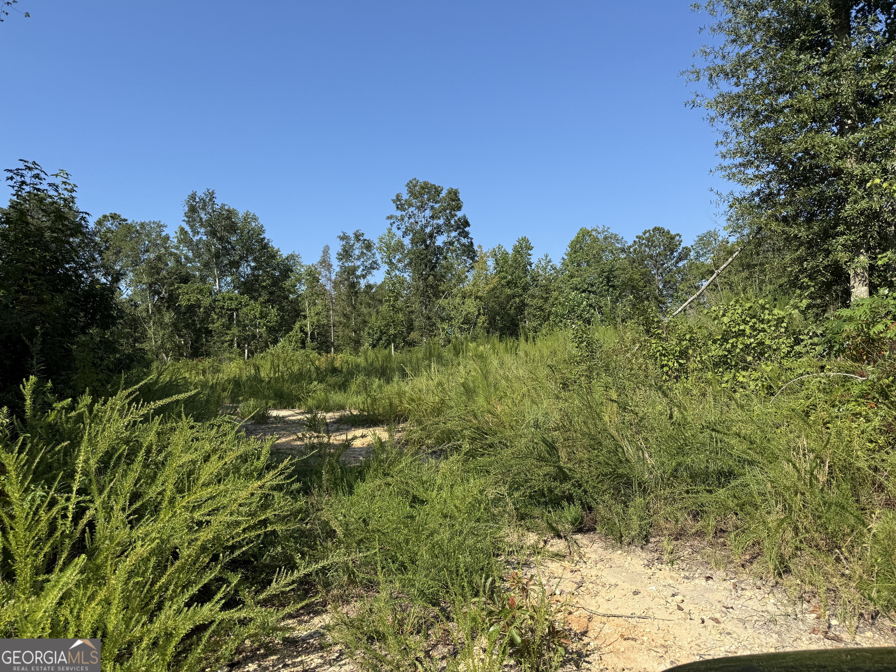 0 North Ga Highway 113 Temple, GA 30179 - Photo 9 of 15 a view of a large yard with lots of bushes