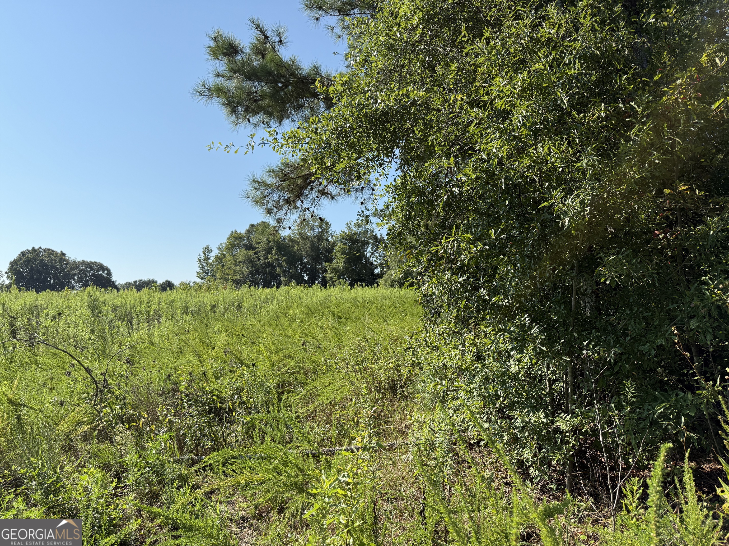 0 North Ga Highway 113 Temple, GA 30179 - Photo 10 of 15