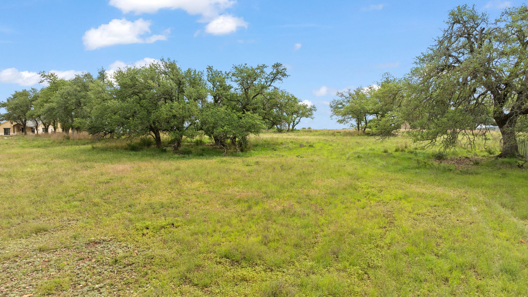 120 Trophy Oak Point Fredericksburg, TX 78624 - Photo 22 of 33 View of yard featuring a rural view