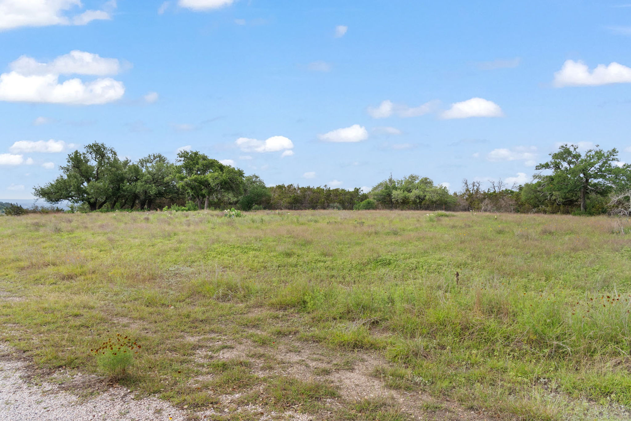 120 Trophy Oak Point Fredericksburg, TX 78624 - Photo 25 of 33 View of local wilderness with rural landscape