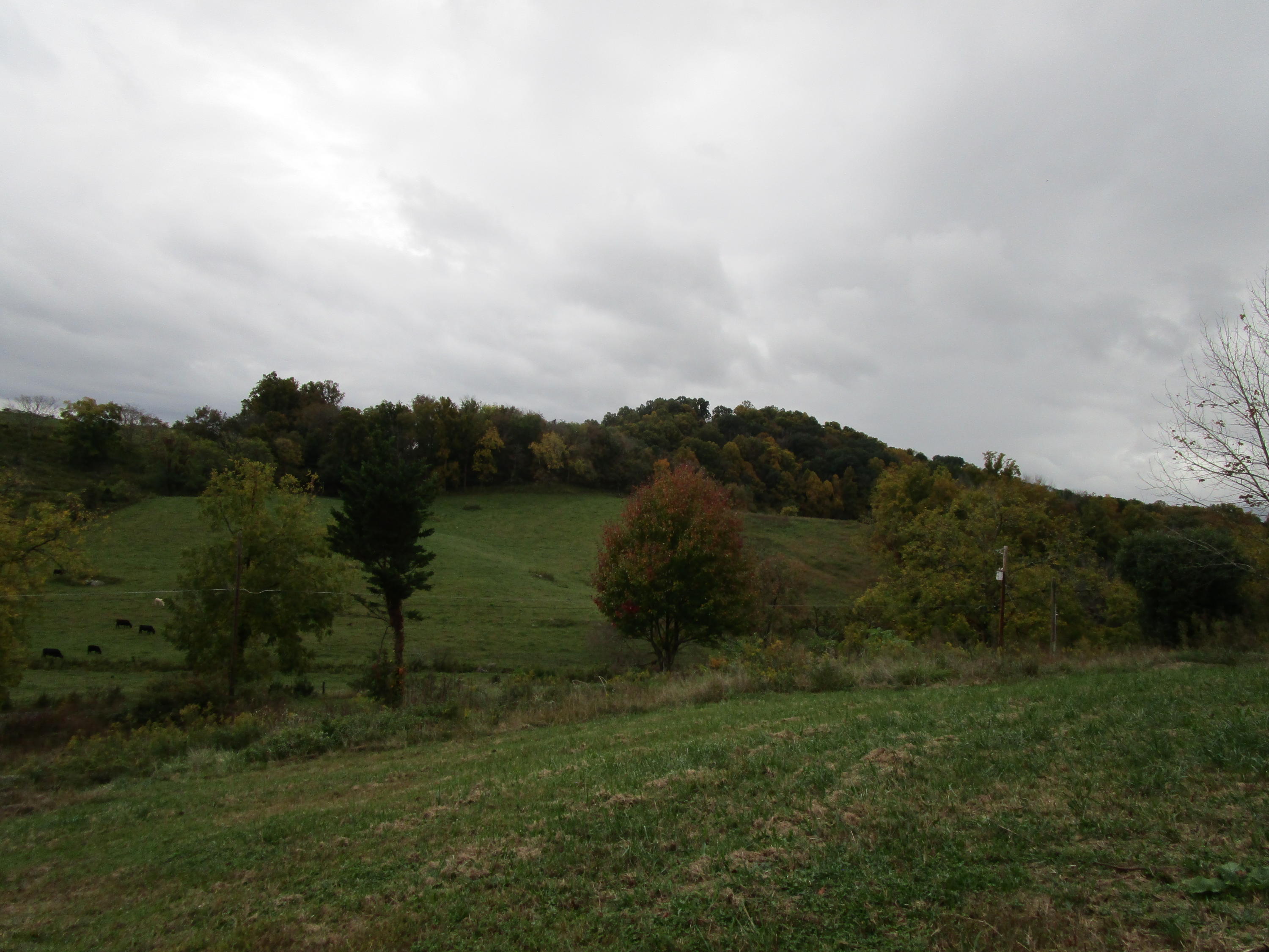 0 Smalling Road Watauga, TN 37694 - Photo 8 of 18 IMG_1241
