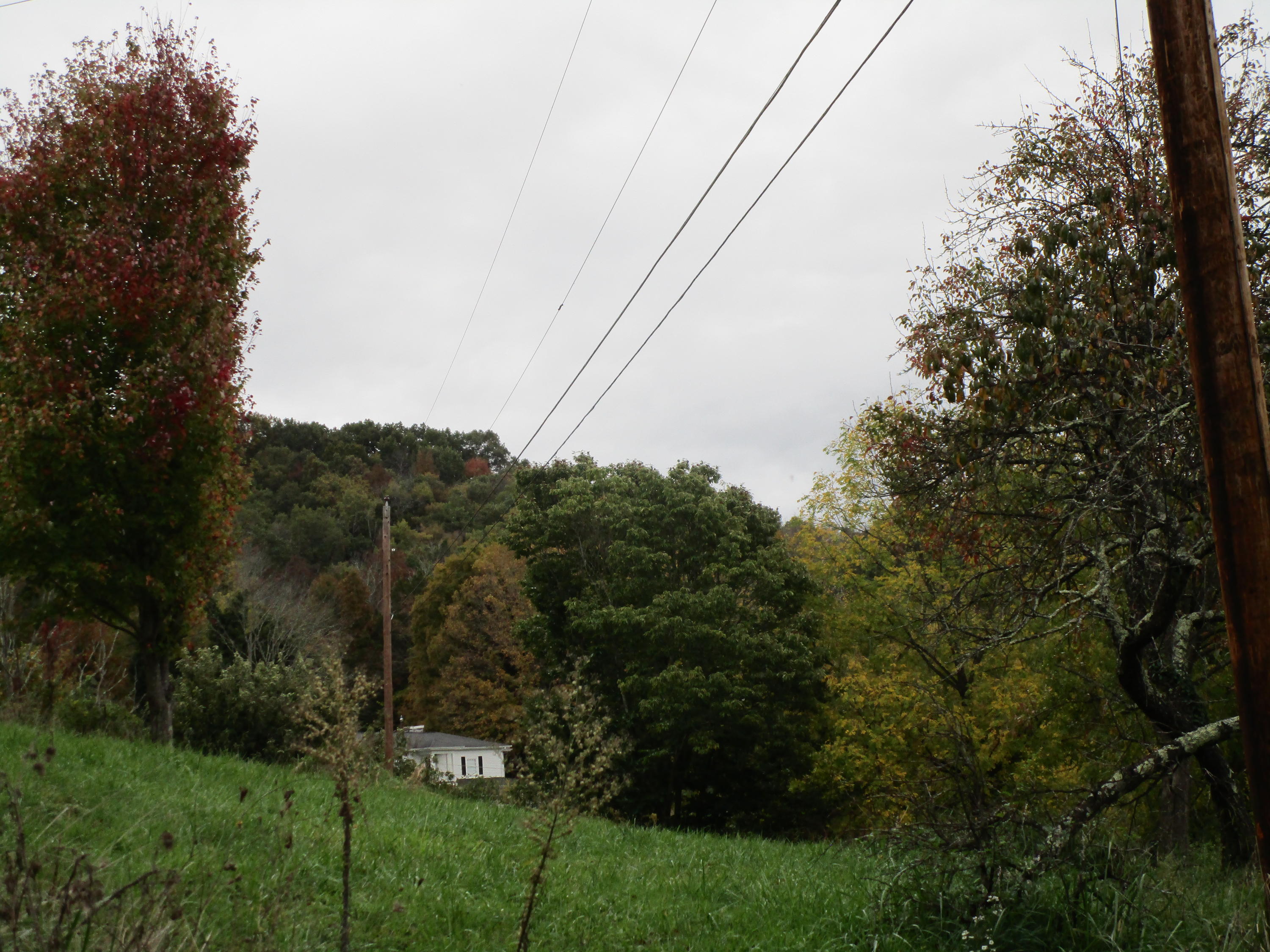 0 Smalling Road Watauga, TN 37694 - Photo 10 of 18 IMG_1238