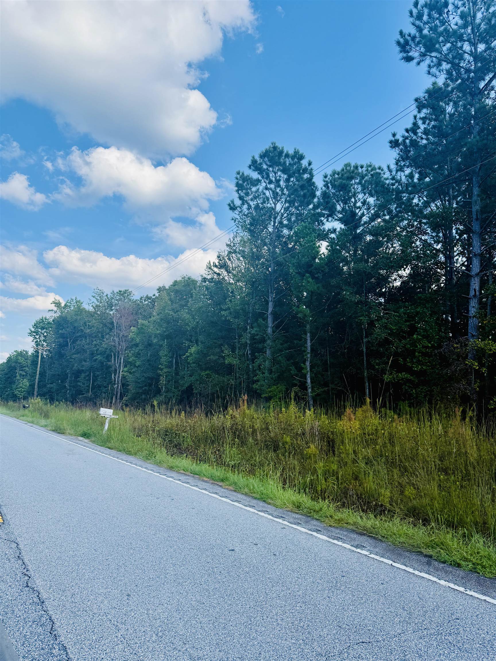 0 Ekom Beach Road Ware Shoals, SC 29692 - Photo 2 of 7