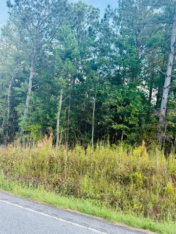 $70,000 | 0 Ekom Beach Road, Ware Shoals, SC 29692