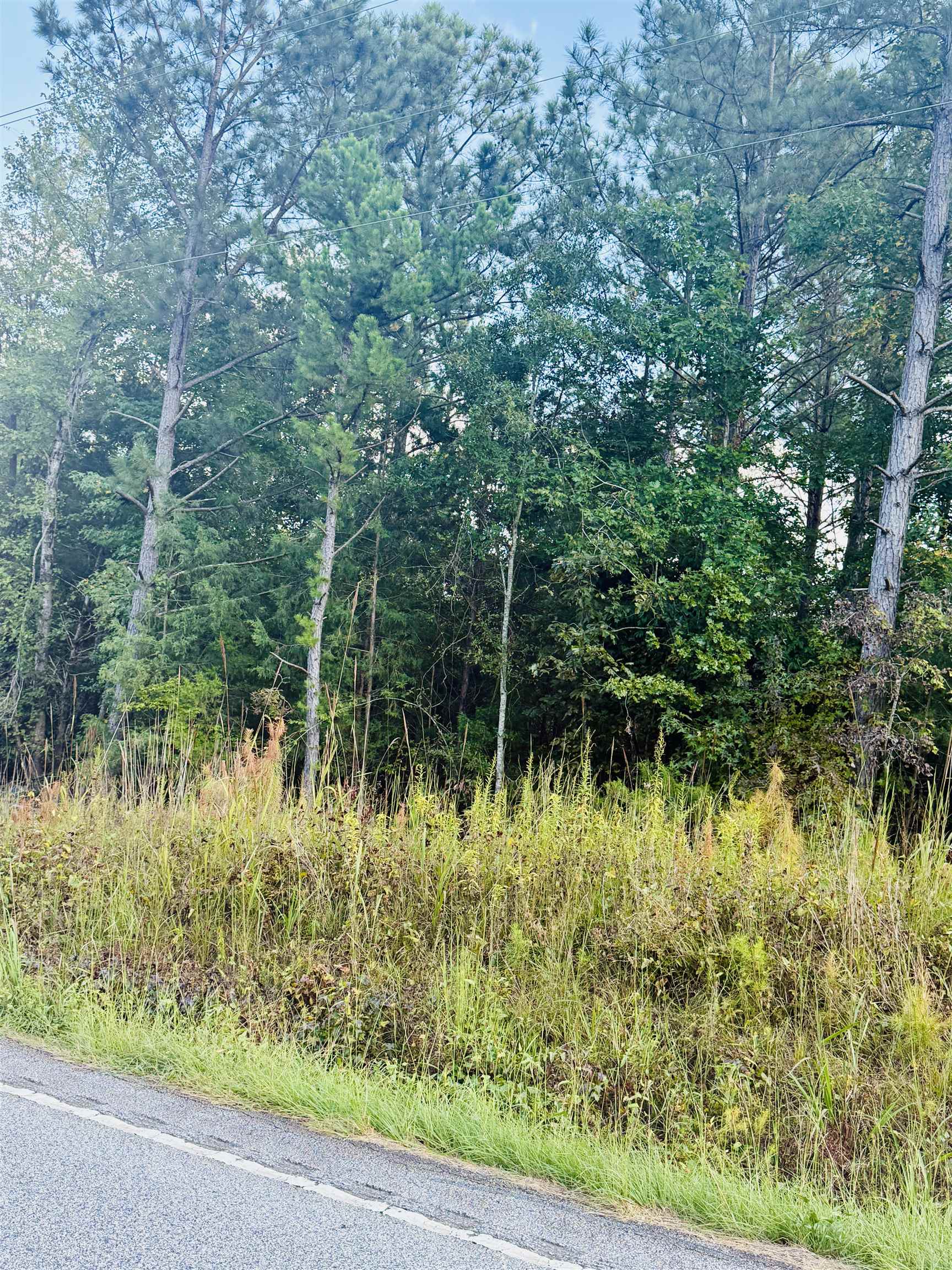 0 Ekom Beach Road Ware Shoals, SC 29692 - Photo 4 of 7