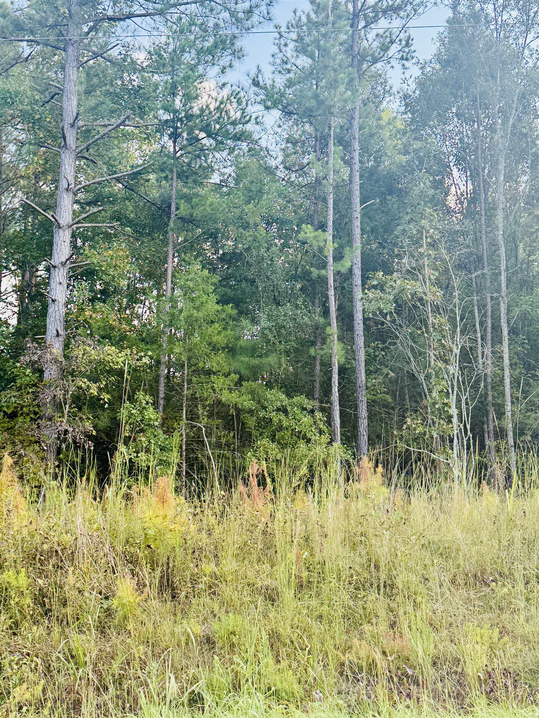 0 Ekom Beach Road Ware Shoals, SC 29692 - Photo 5 of 7