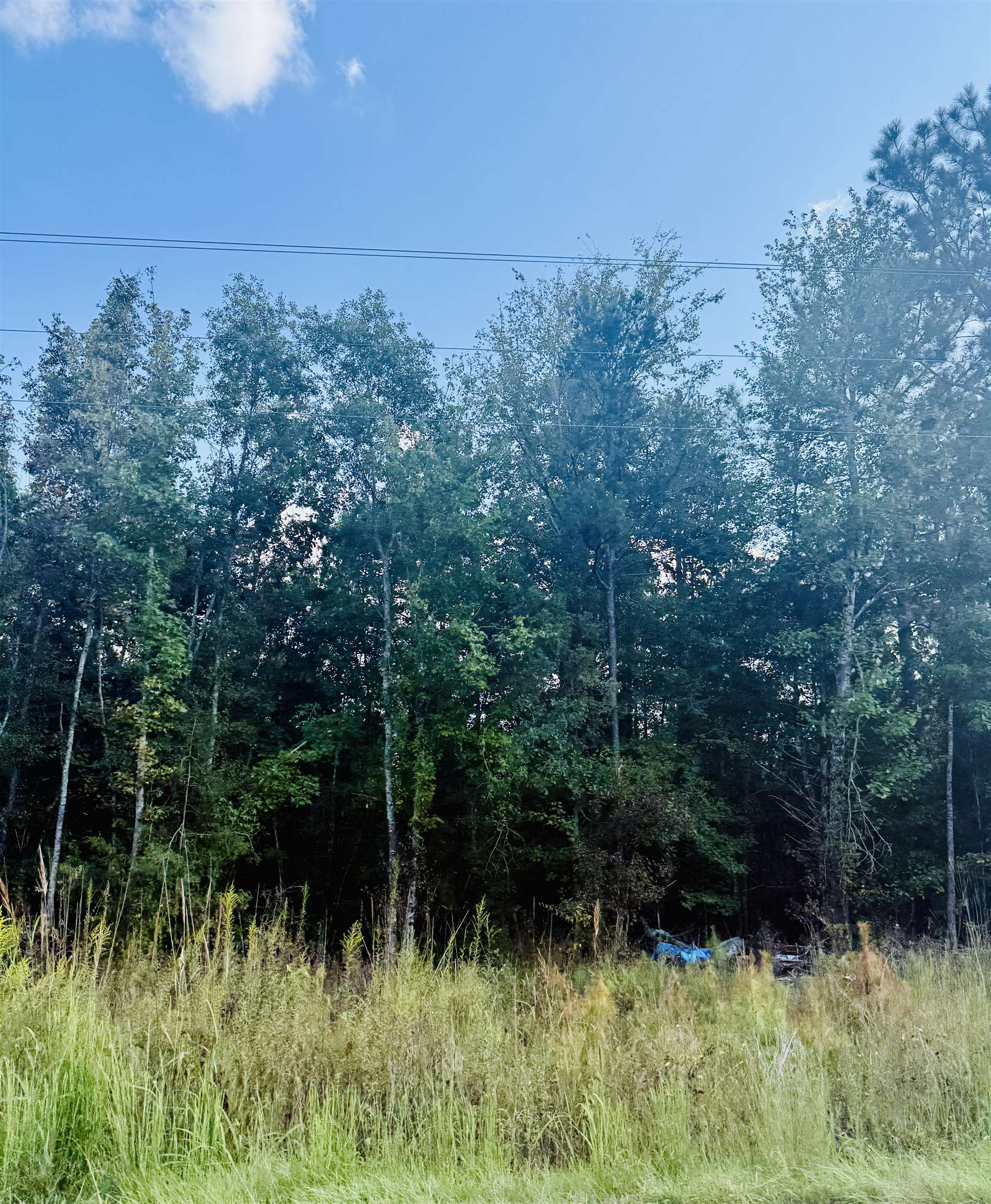 0 Ekom Beach Road Ware Shoals, SC 29692 - Photo 6 of 7