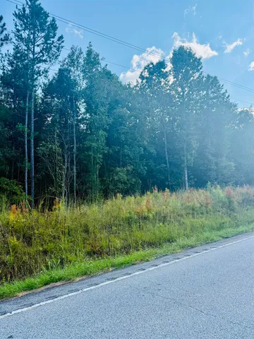 $70,000 | 0 Ekom Beach Road, Ware Shoals, SC 29692