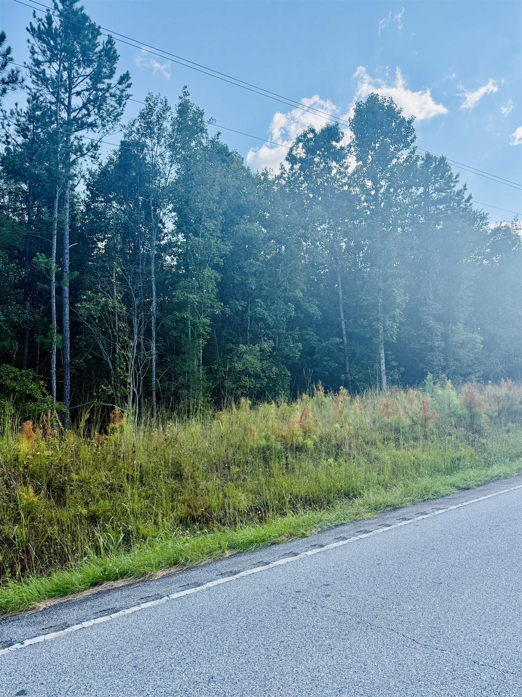 0 Ekom Beach Road Ware Shoals, SC 29692 - Photo 7 of 7