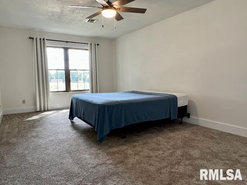 1350 Kimberly Ridge Road, Unit 213 Bettendorf, IA 52722 - Photo 14 of 23 Gallery Image 14