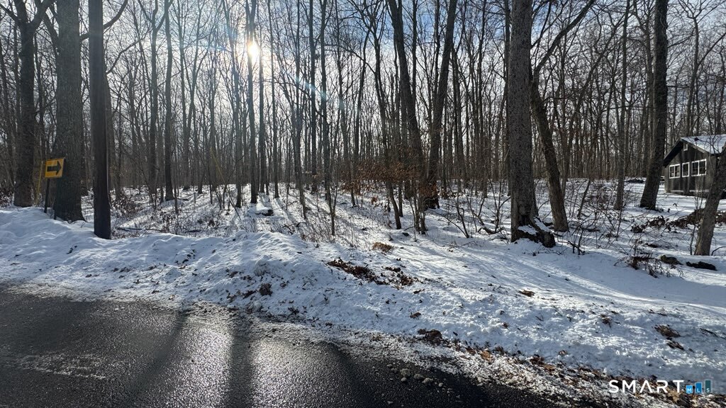 Echo Drive Lebanon, CT 06249 - Photo 3 of 3