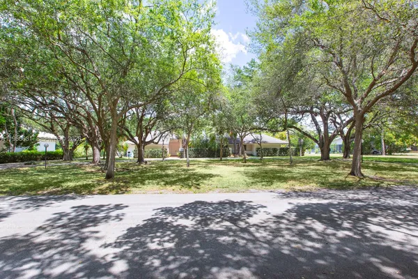 a view of a park with large trees