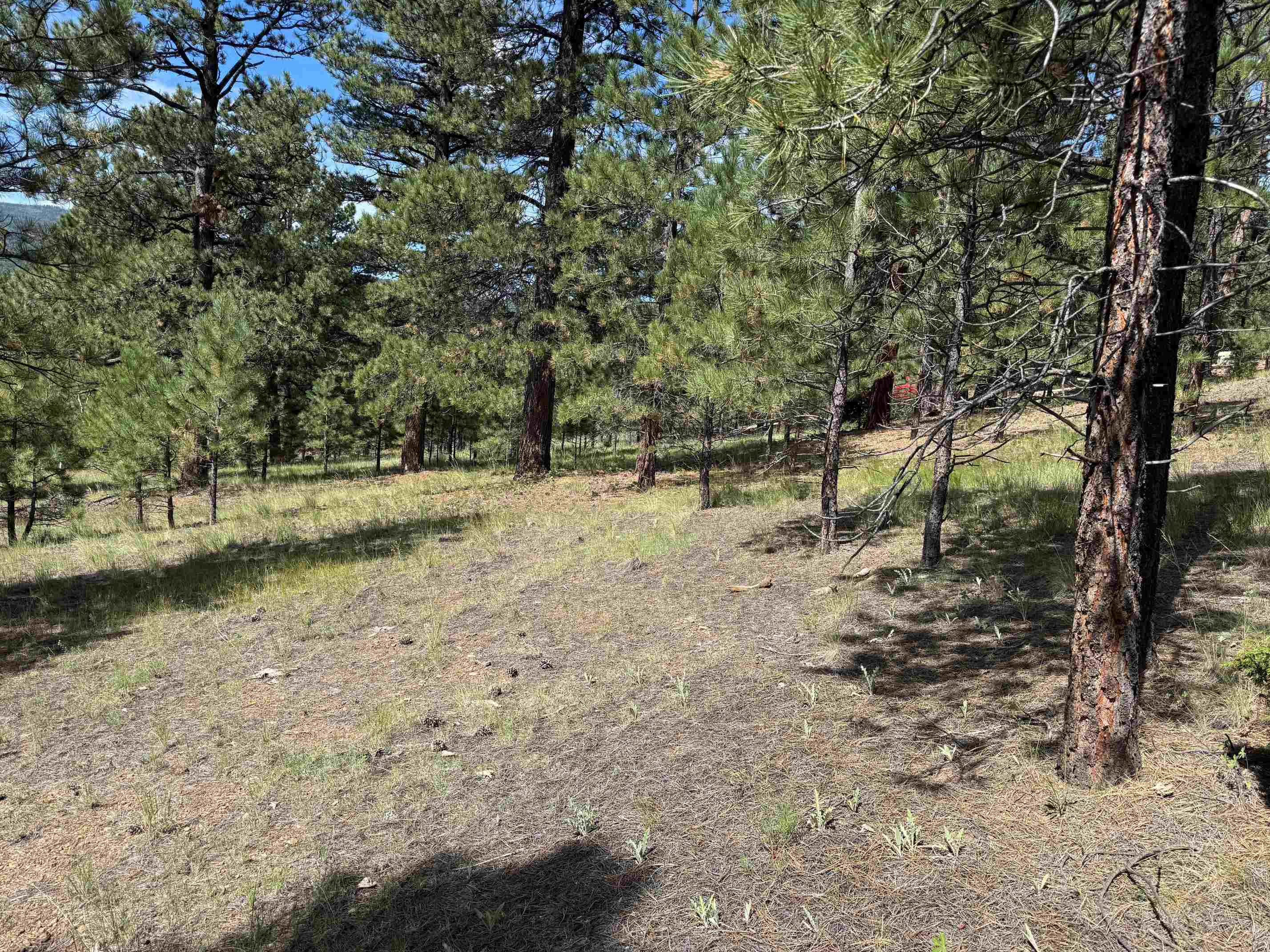 Lot 18 Upper Road Angel Fire, NM 87710 - Photo 3 of 11 Gallery Image 3