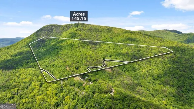 a view of an lush green mountain