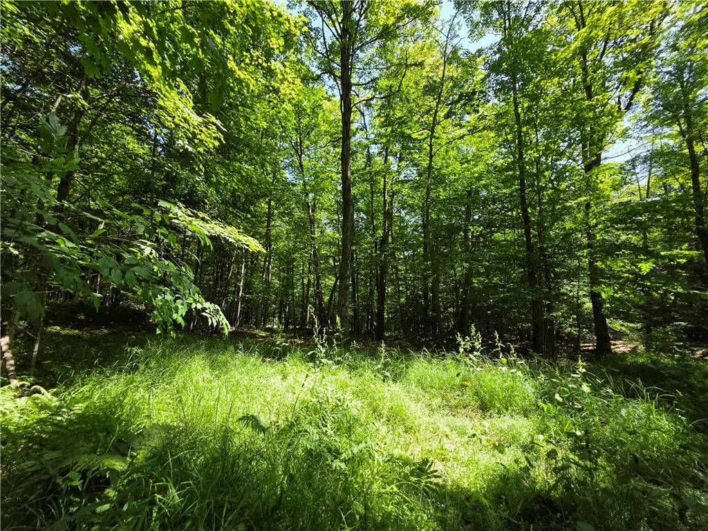 2057 Wycoff Road Jasper, NY 14885 - Photo 40 of 43 Gallery Image 40