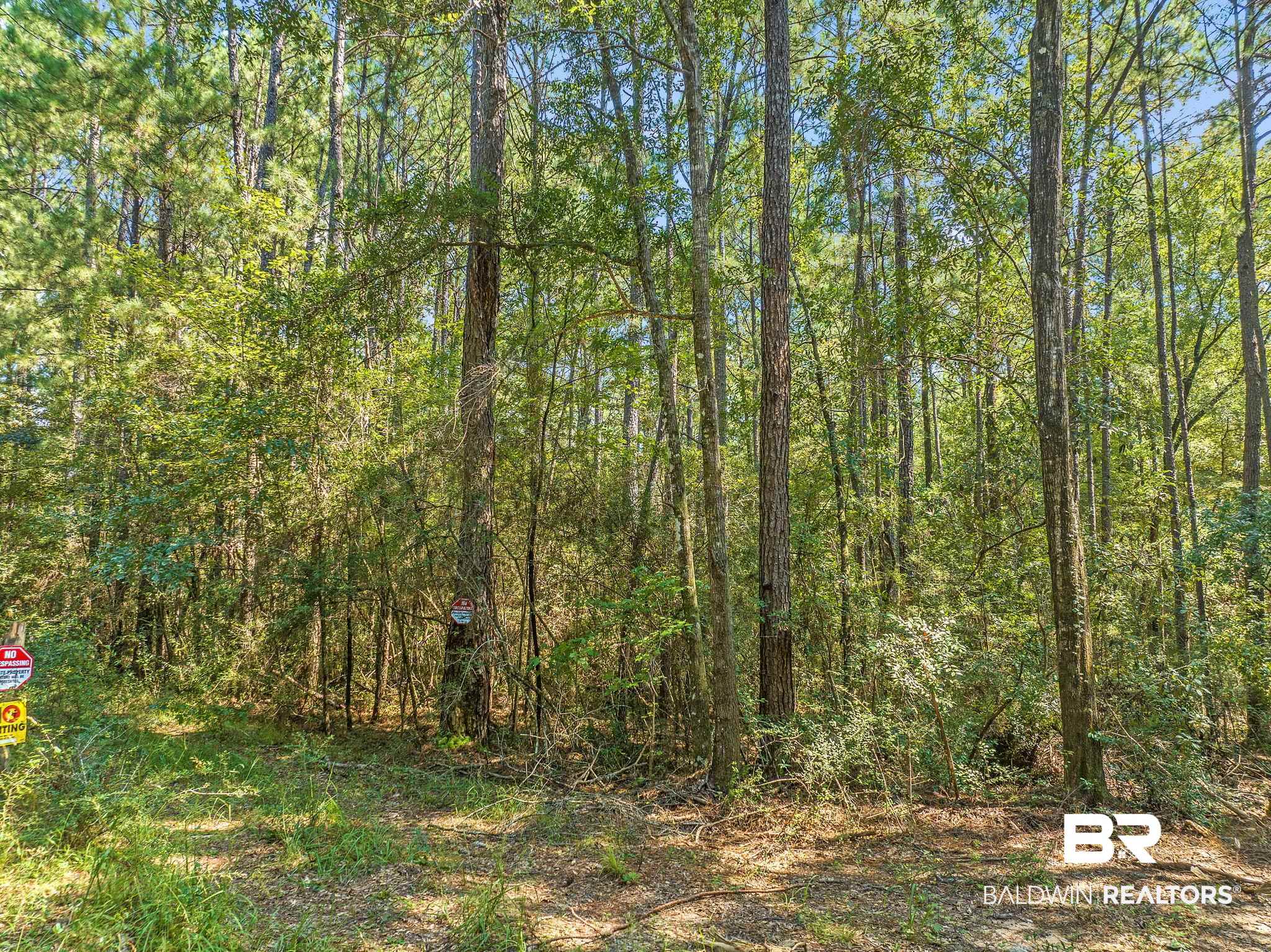 6917 Old Citronelle Road Eight Mile, AL 36613 - Photo 7 of 8