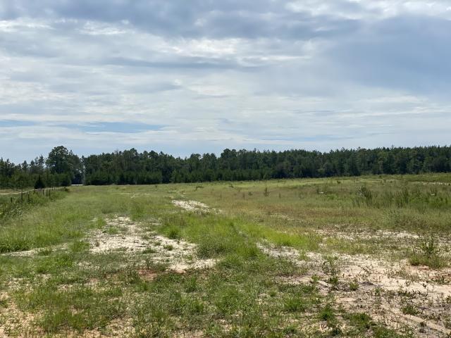 6.4-ac-c Outlook Road Milton, FL 32583 - Photo 4 of 6 Gallery Image 4