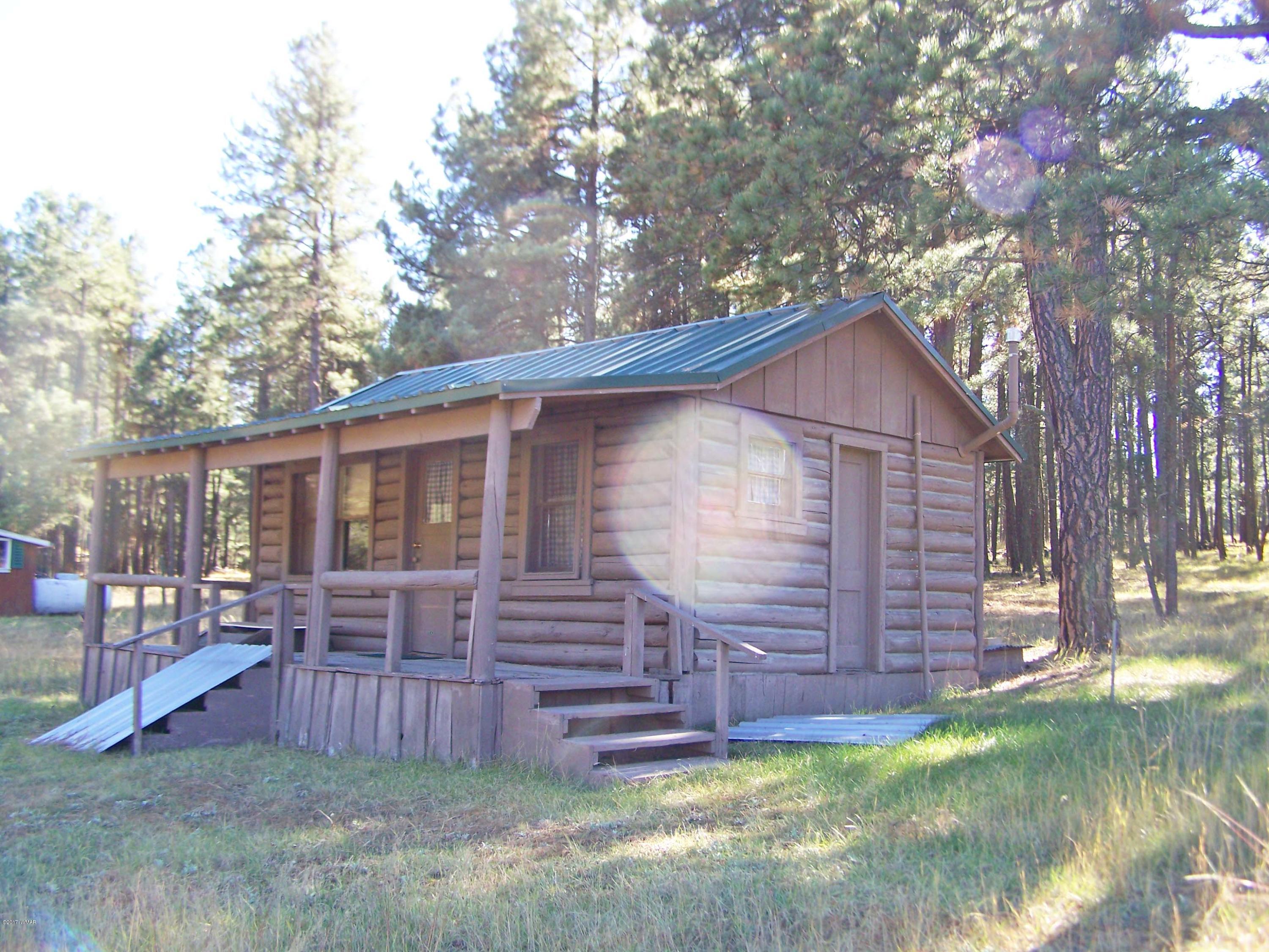 419 County Road Alpine, AZ 85920 - Photo 19 of 23