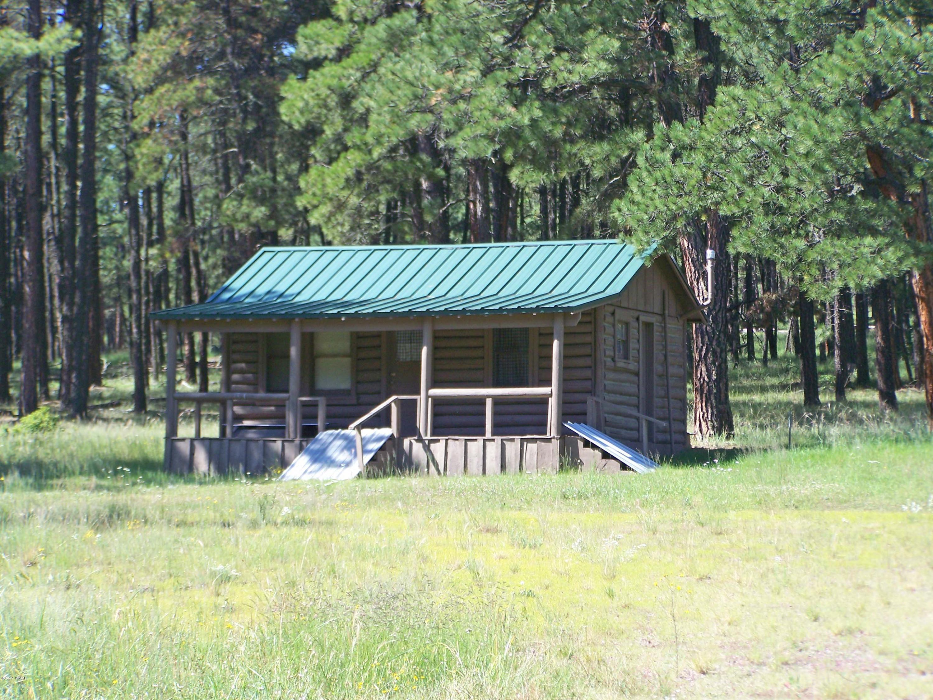 419 County Road Alpine, AZ 85920 - Photo 2 of 23