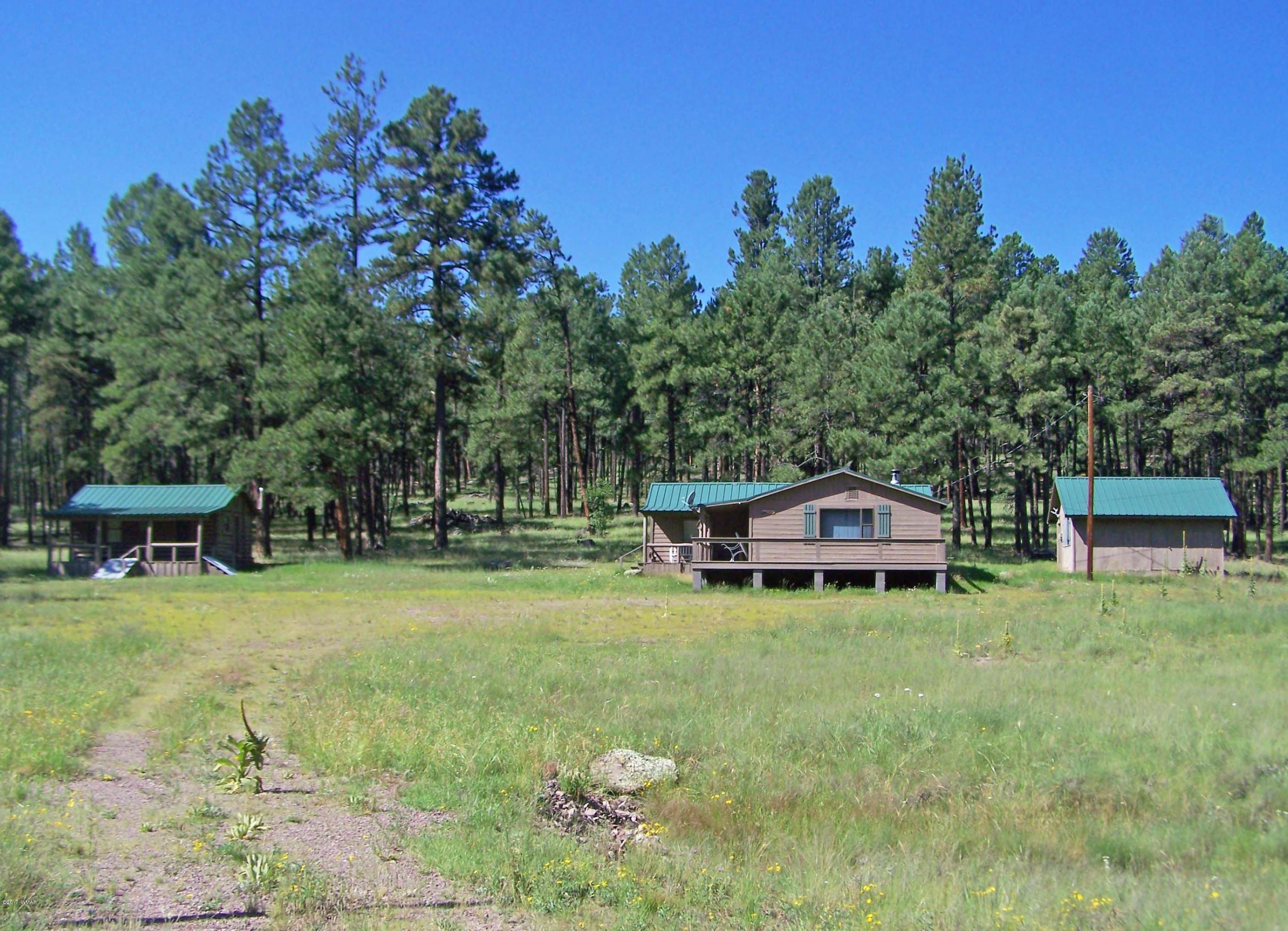 419 County Road Alpine, AZ 85920 - Photo 3 of 23