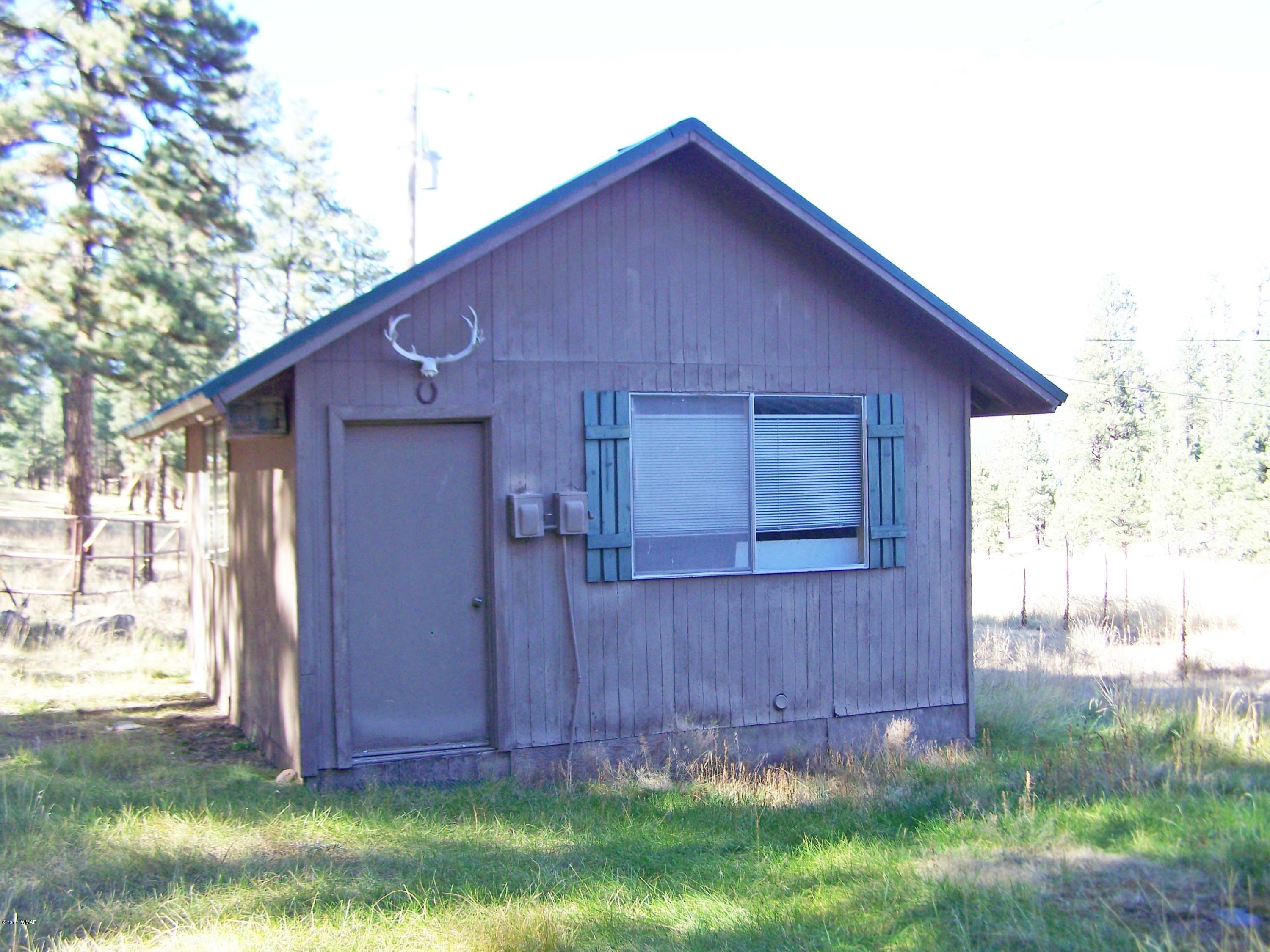 419 County Road Alpine, AZ 85920 - Photo 5 of 23