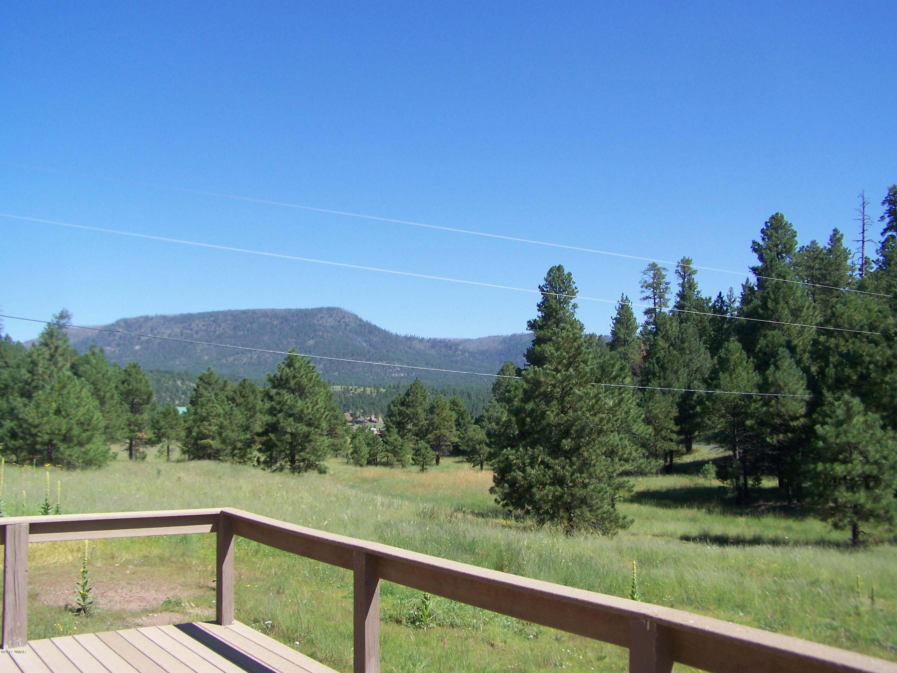 419 County Road Alpine, AZ 85920 - Photo 7 of 23