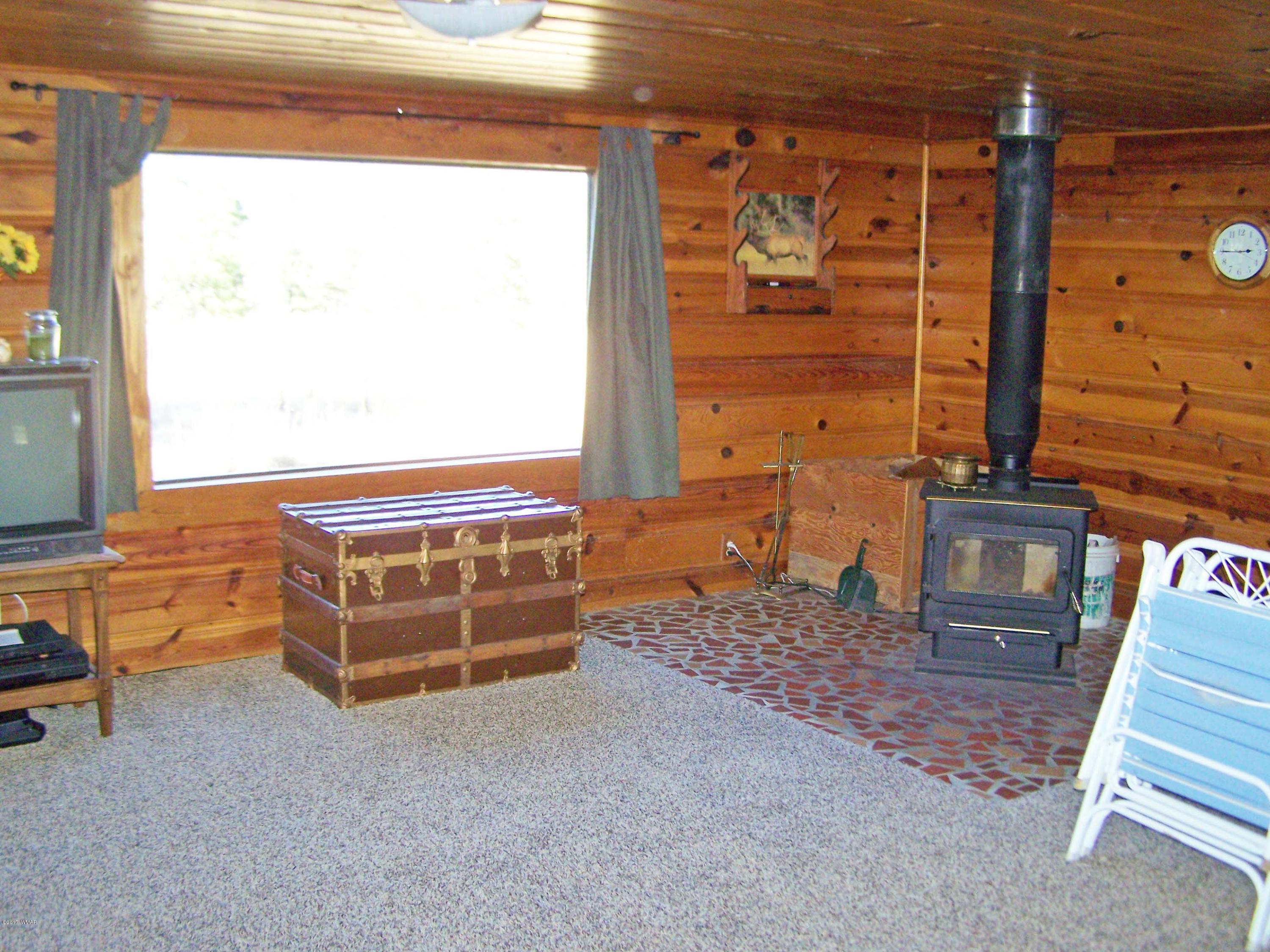 419 County Road Alpine, AZ 85920 - Photo 8 of 23