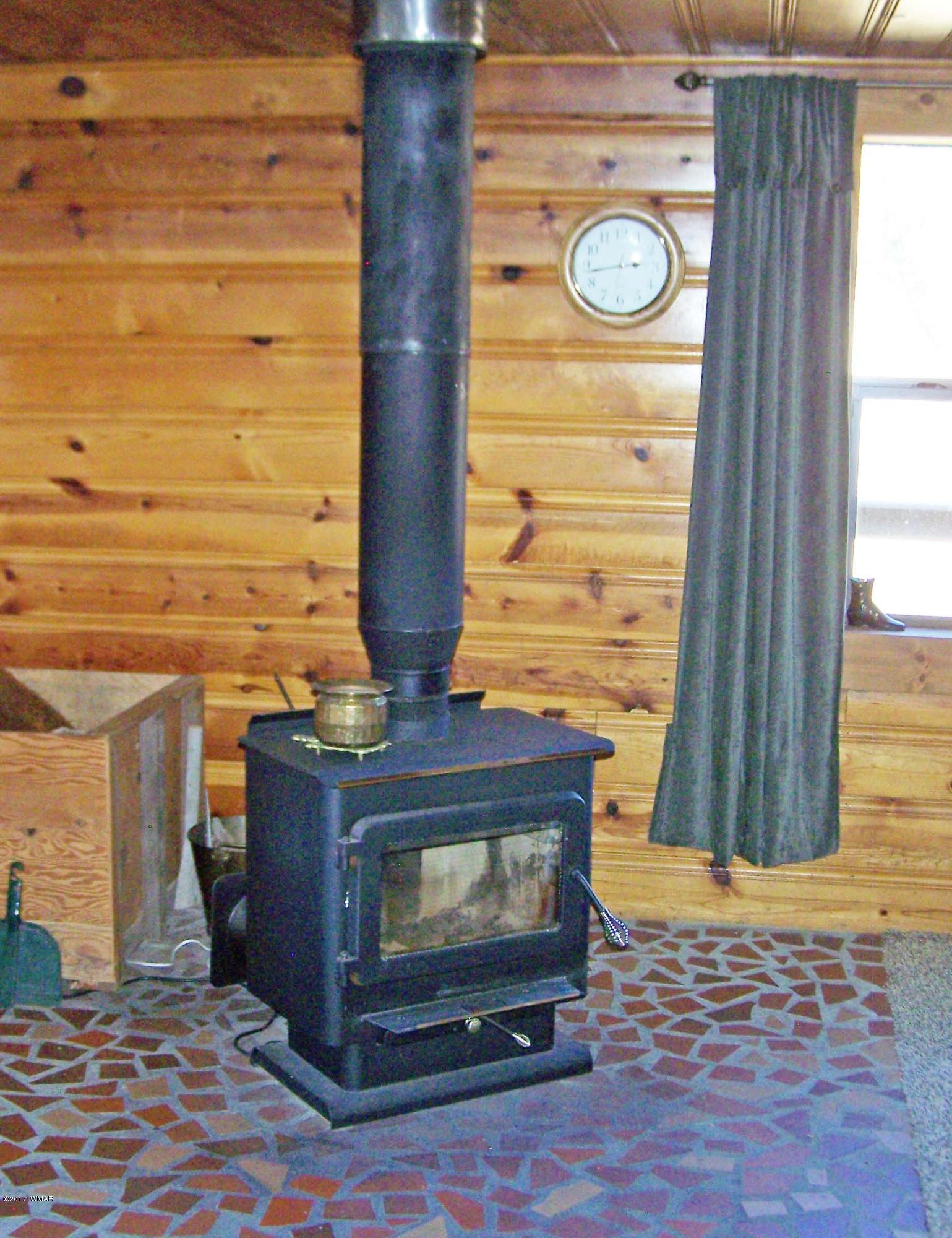419 County Road Alpine, AZ 85920 - Photo 10 of 23