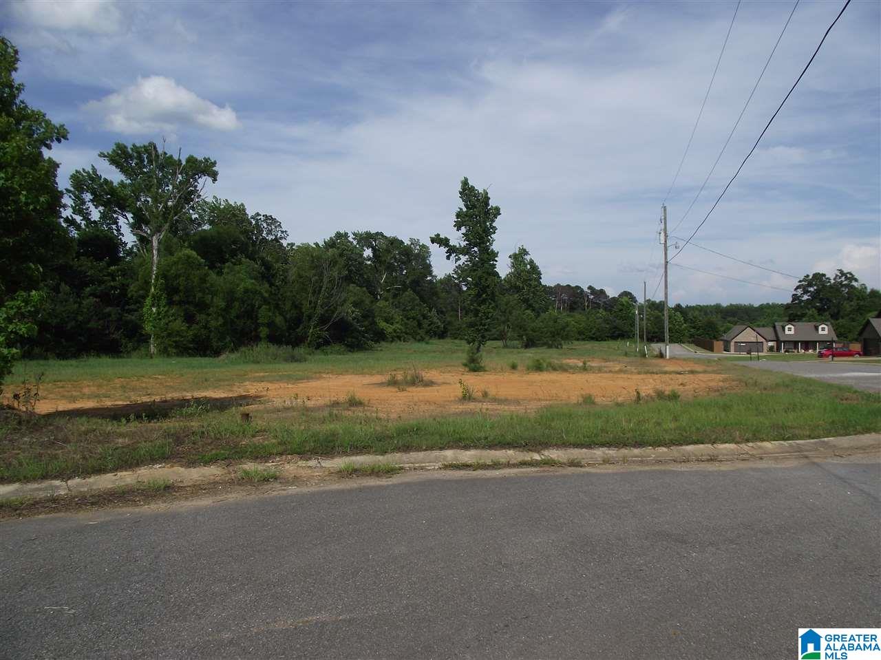 0 Logan Farms Road, Unit 1 Vance, AL 35490 - Photo 11 of 18