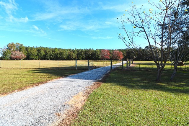 326 Old Macon Road Danville, GA 31017 - Photo 21 of 21 Additional Photo