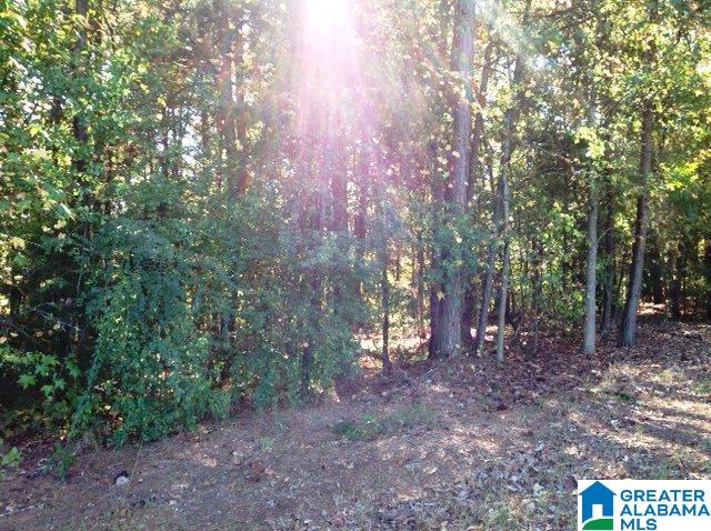 0 Whispering Pines Road, Unit 1 AMD 2 Oxford, AL 36203 - Photo 9 of 30