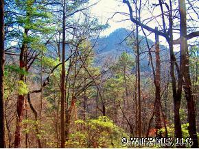 45-55 Seton Road, Unit 4555 Lake Lure, NC 28746 - Photo 1 of 7 Gallery Image 1