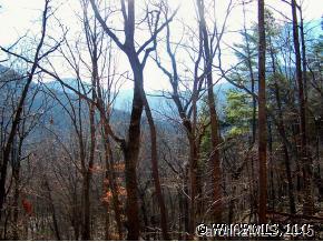 45-55 Seton Road, Unit 4555 Lake Lure, NC 28746 - Photo 4 of 7 Gallery Image 4