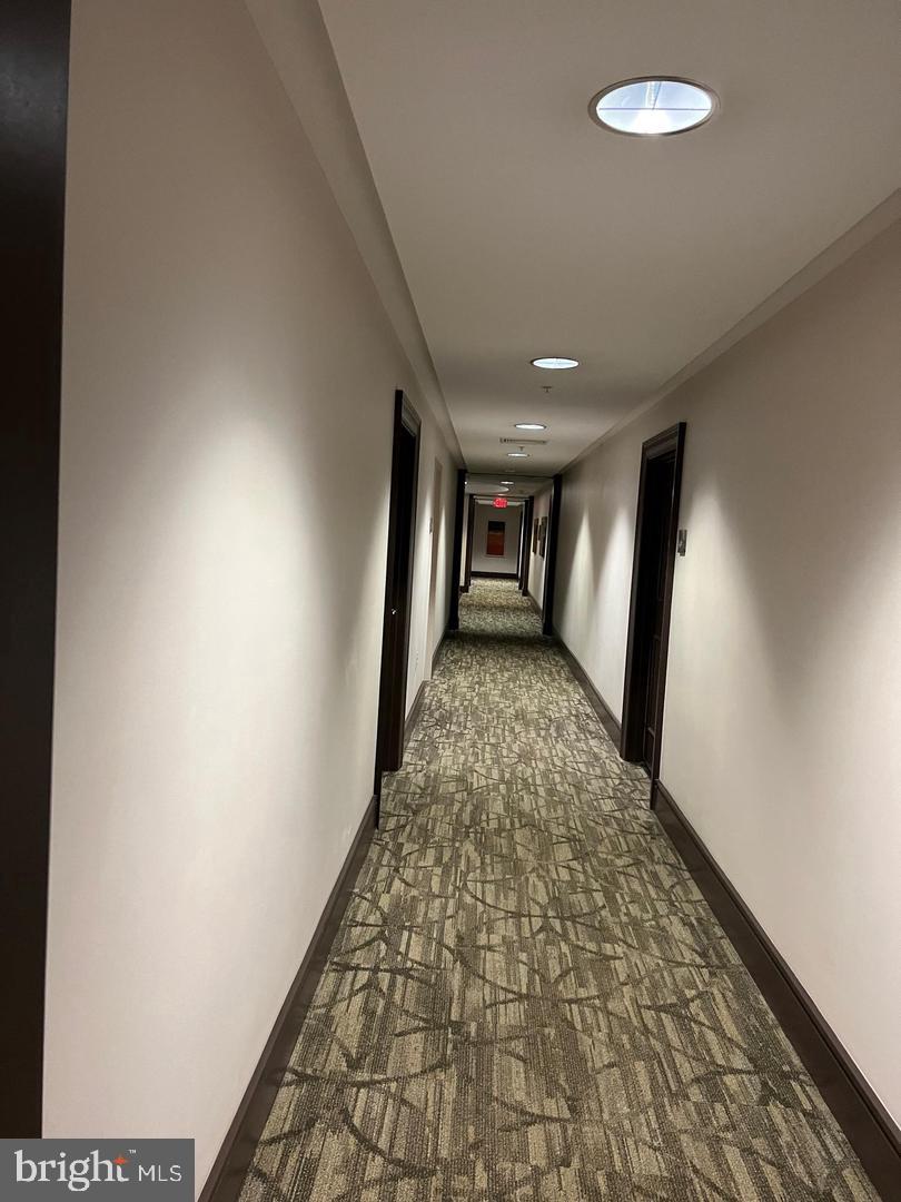 3650 South Glebe Road, Unit 347 Arlington, VA 22202 - Photo 14 of 46 hallway