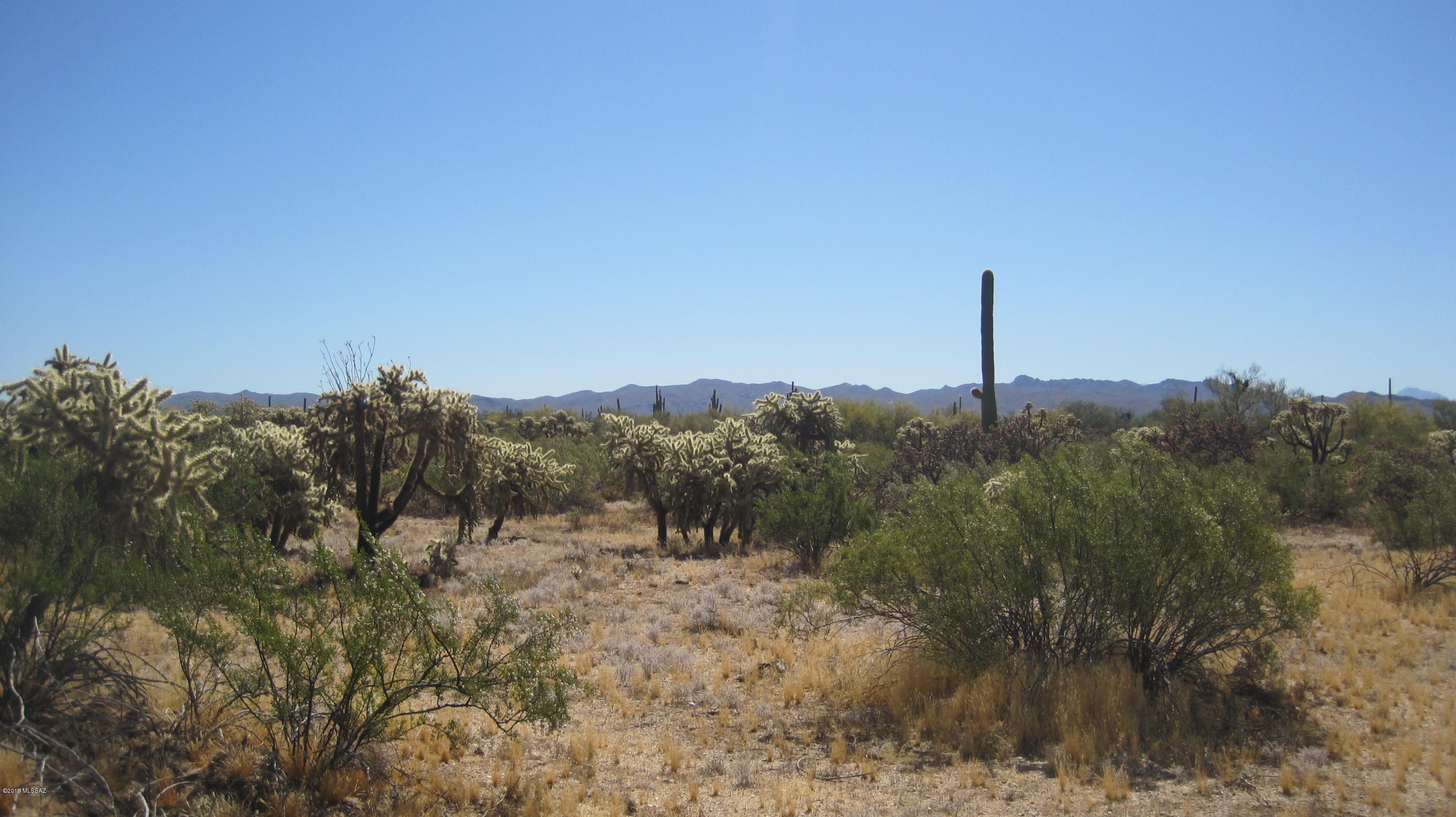 Oo South Cattle Tank Road, Unit 7 5 AC Marana, AZ 85658 - Photo 4 of 22