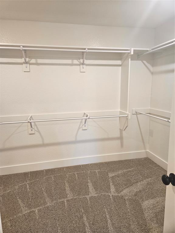 221 Chestnut Street Celina, TX 75009 - Photo 11 of 23 a bathroom with a shower