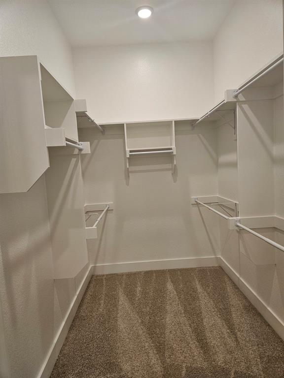 221 Chestnut Street Celina, TX 75009 - Photo 17 of 23 a view of walk in closet with empty racks