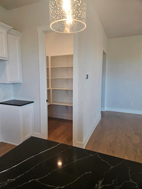 221 Chestnut Street Celina, TX 75009 - Photo 7 of 23 a room with closet and a potted plant