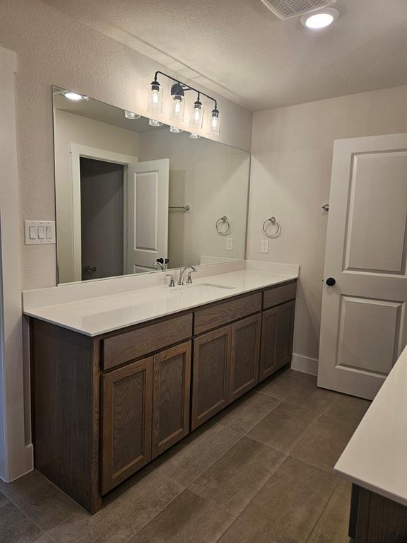 221 Chestnut Street Celina, TX 75009 - Photo 10 of 23 a bathroom with a double vanity sink and mirror