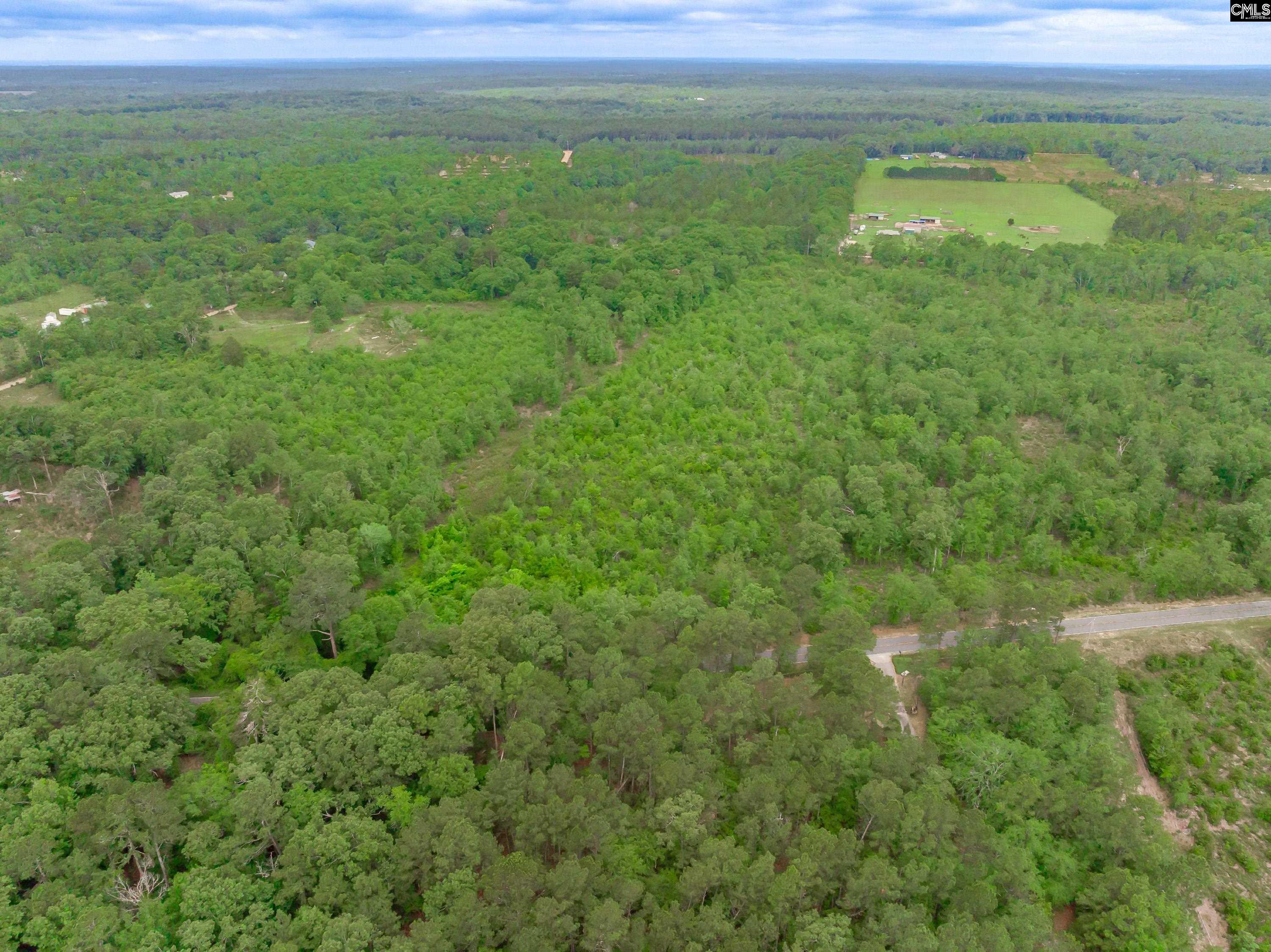0 Seivern Road Wagener, SC 29164 - Photo 8 of 23