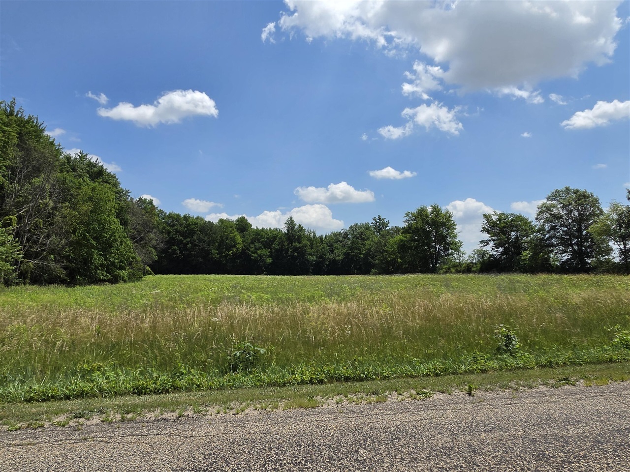 14667 Tripp Road Camden, MI 49232 - Photo 26 of 27