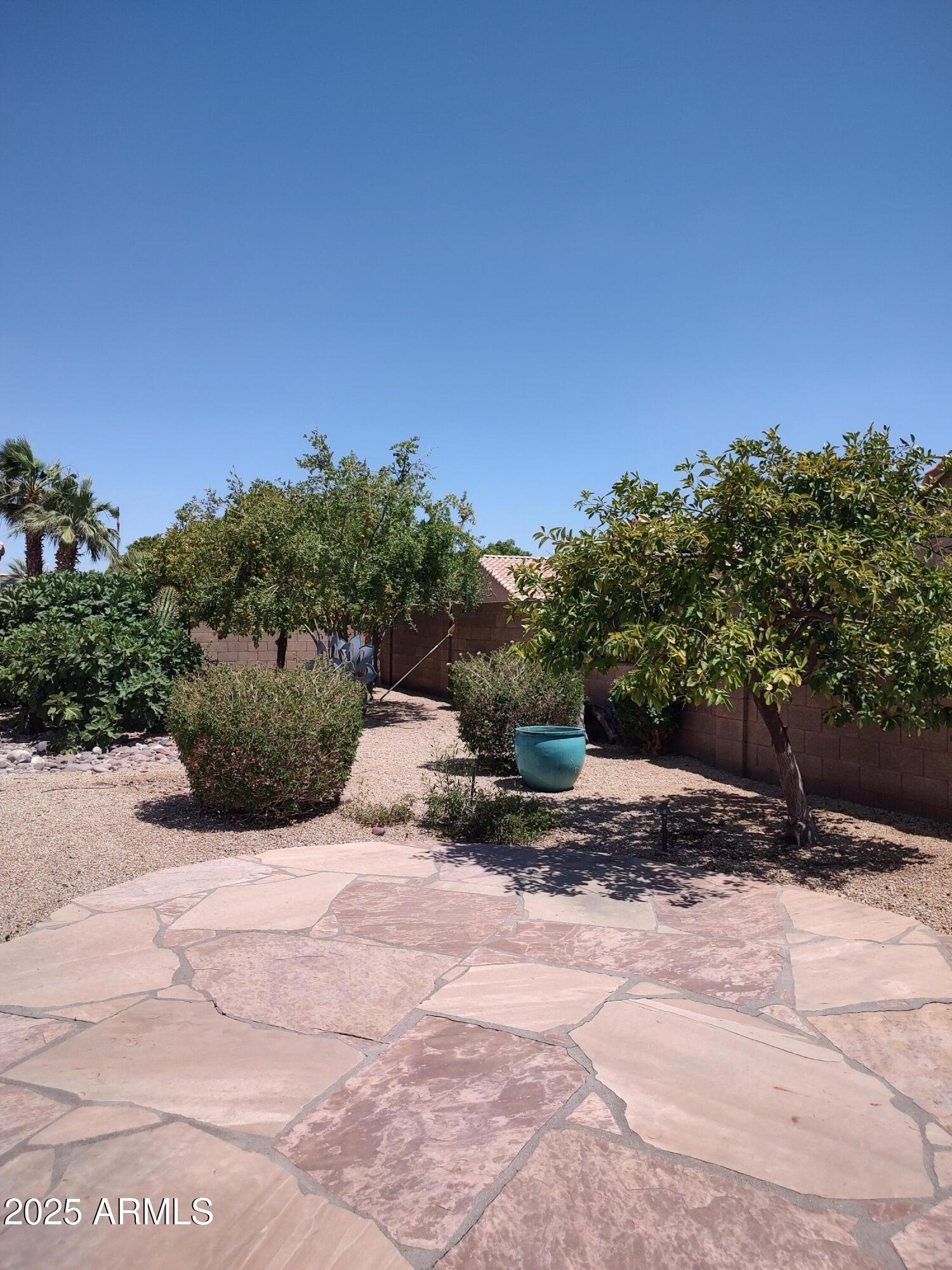 1365 West Courtney Lane Tempe, AZ 85284 - Photo 24 of 24 a view of a yard with plants and a bench