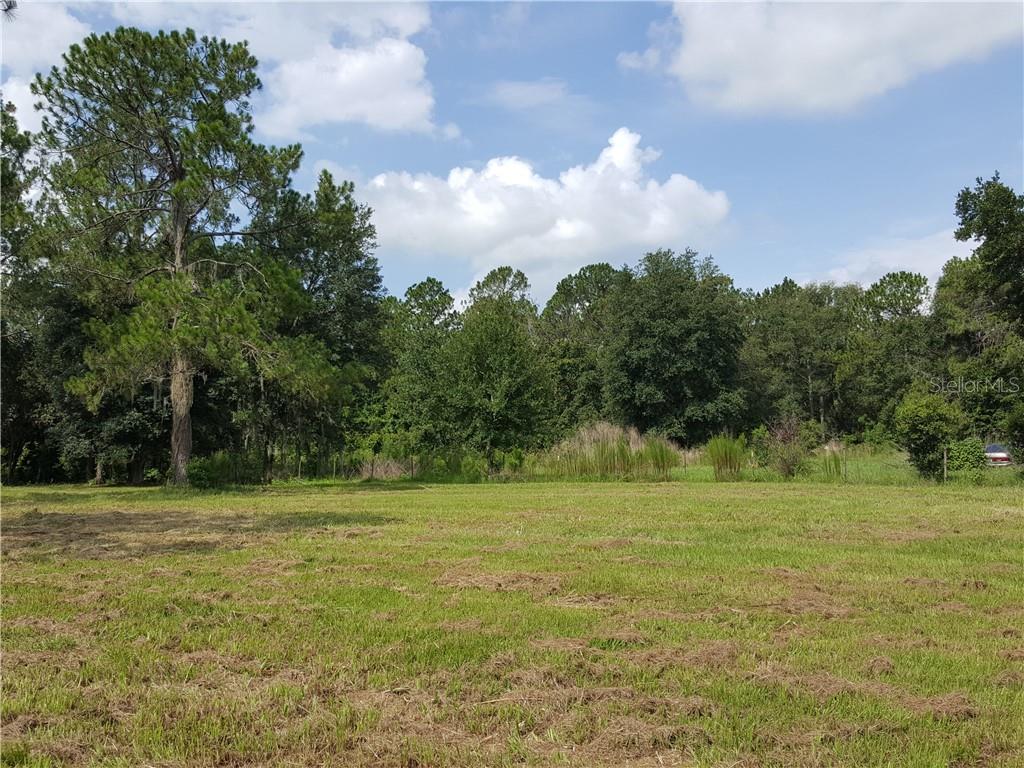 Cindy Road Lakeland, FL 33810 - Photo 1 of 1