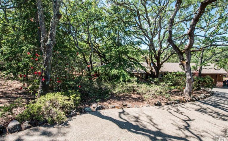 255 Crest Road Novato, CA 94945 - Photo 1 of 1 a pathway of a yard