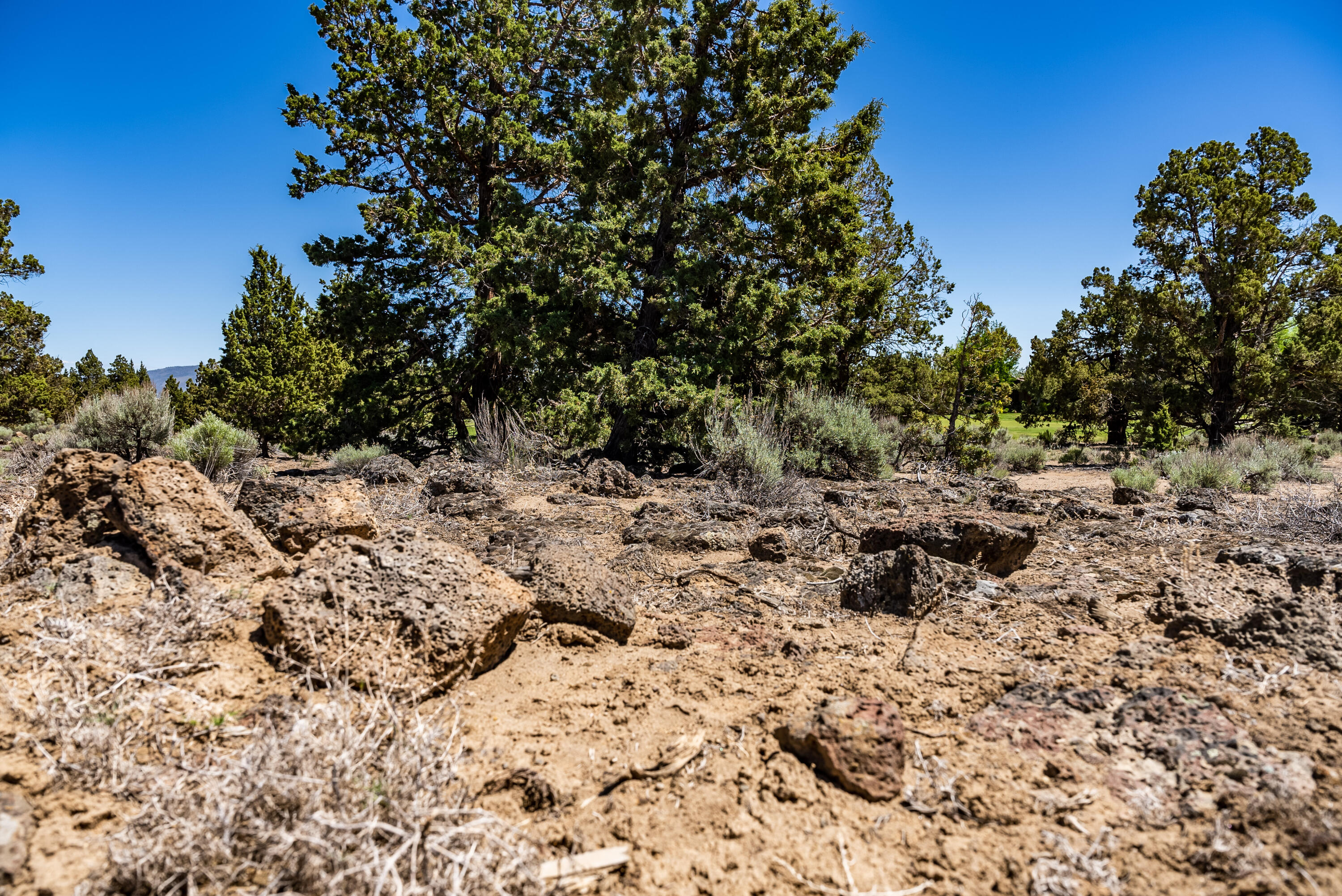 Canyon View Loop Bend Bend, OR 97701 - Photo 10 of 30 10