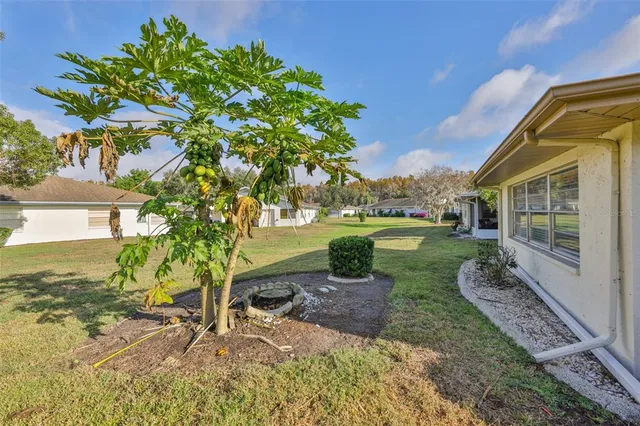 a view of a yard with an trees
