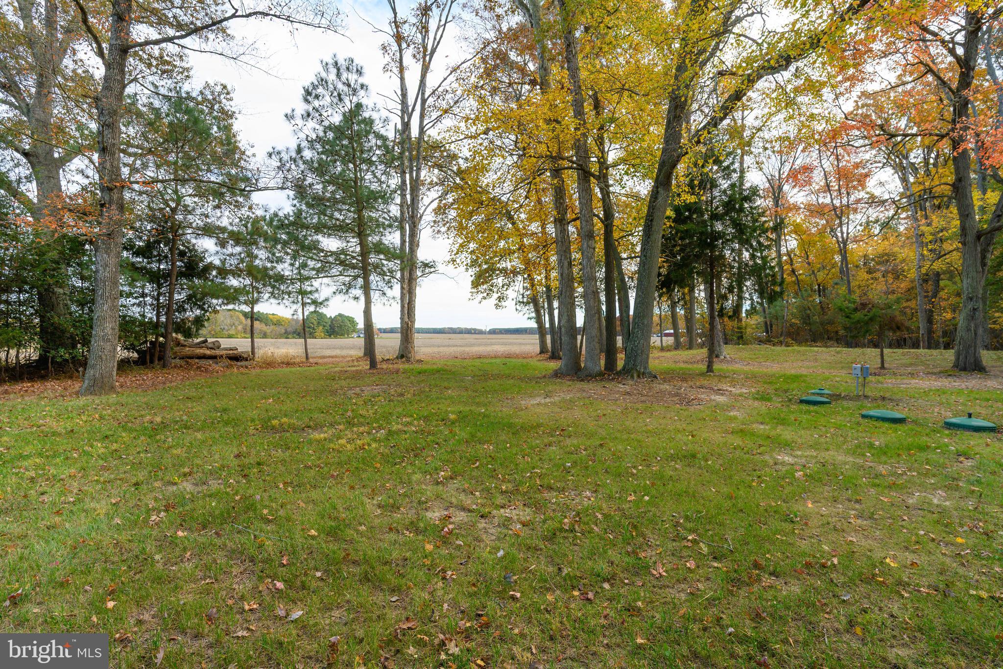 2669 Ocean Gateway Trappe, MD 21673 - Photo 11 of 47 a view of yard with trees and green space
