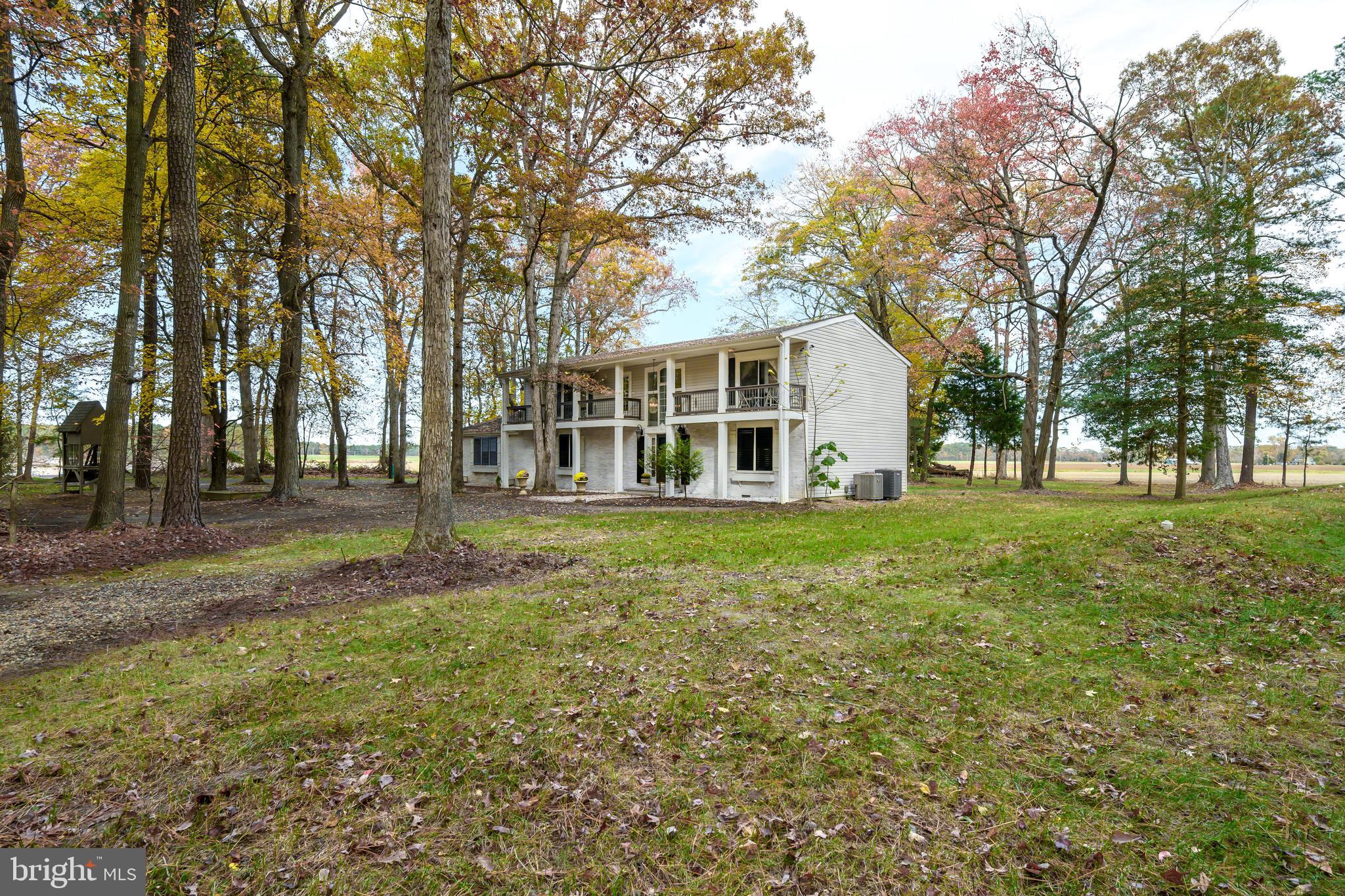 2669 Ocean Gateway Trappe, MD 21673 - Photo 7 of 47 a view of a house with backyard and trees