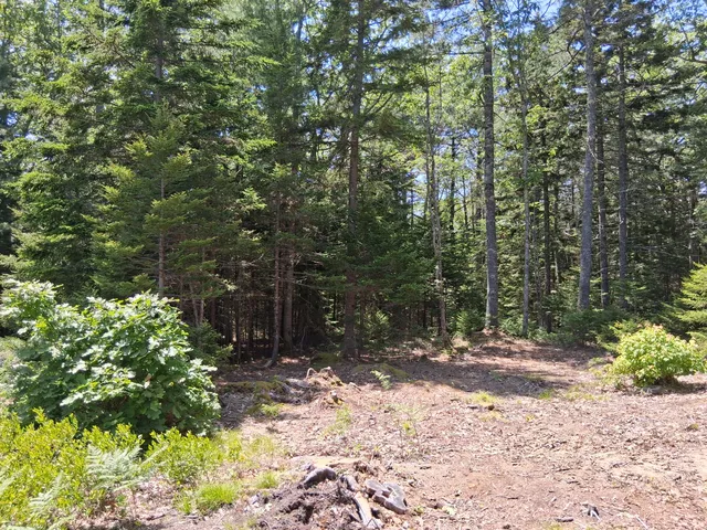 $79,900 | 50 Bunchberry Lane, Bristol, ME 04558